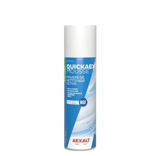 QUICKAEX MOUSSE - Mousse de nettoyage active multisurfaces